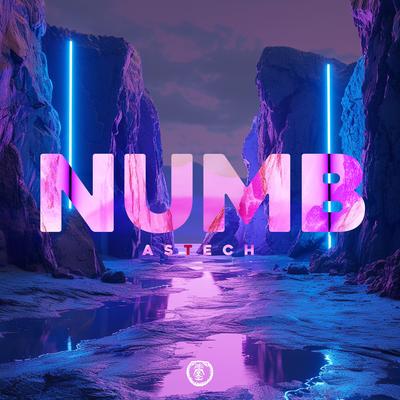 Numb (Techno Version) By Astech's cover