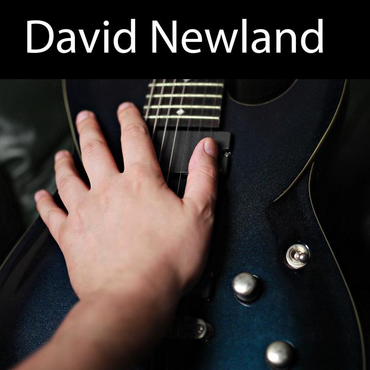 David Newland's avatar image