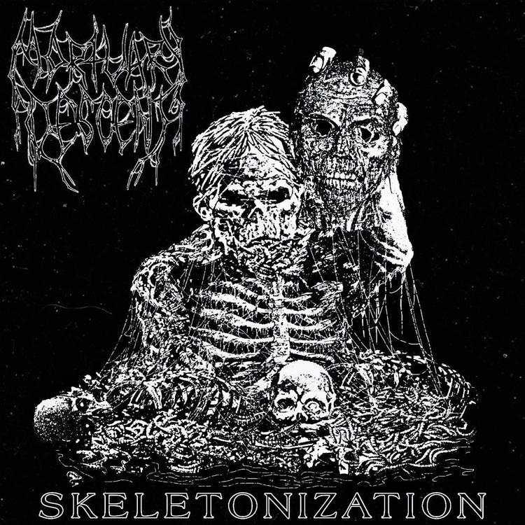 Mortuary Descent's avatar image