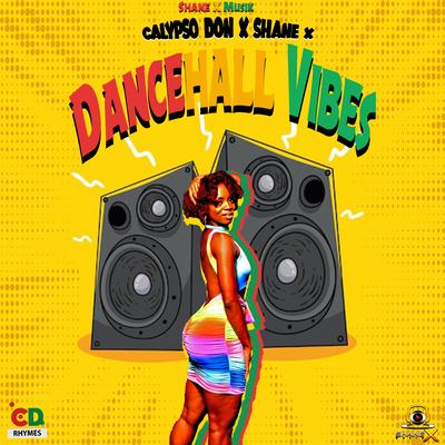 Dancehall Vibes's cover