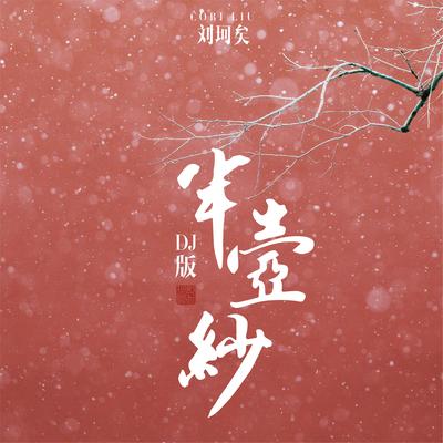 半壶纱 (DJ版)'s cover