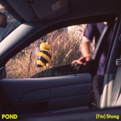 (I'm) Stung By Pond's cover