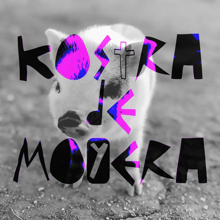 Kostra de Moyera's avatar image