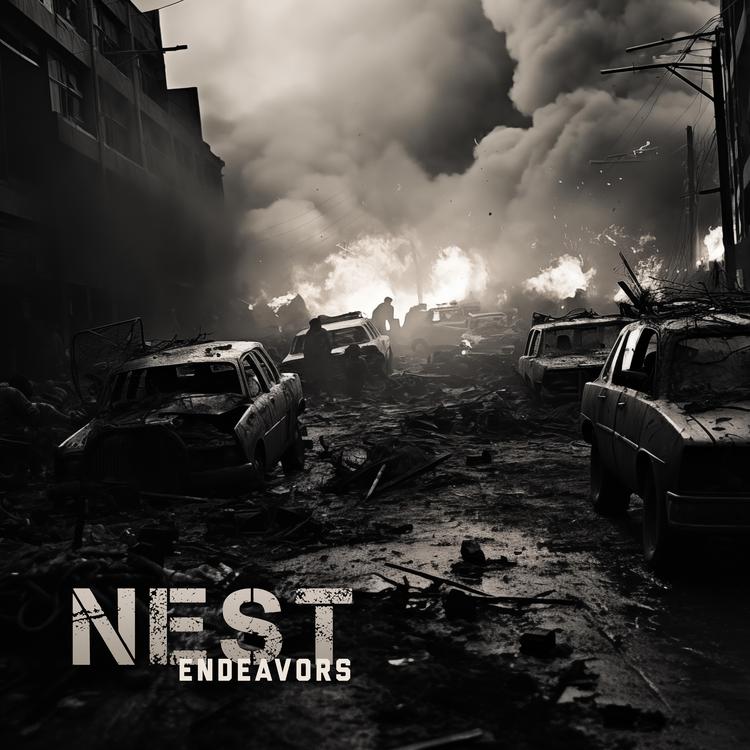 Nest's avatar image