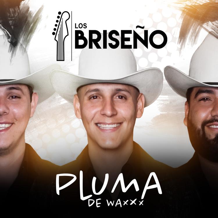 Los Briseño's avatar image