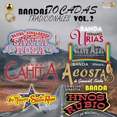 Bandas Tocadas Tradicionales Vol. 2 (feat. Banda Hermanos Rubio,Banda Hermanos Acosta,Banda Cahita,Banda Clave Azul)'s cover