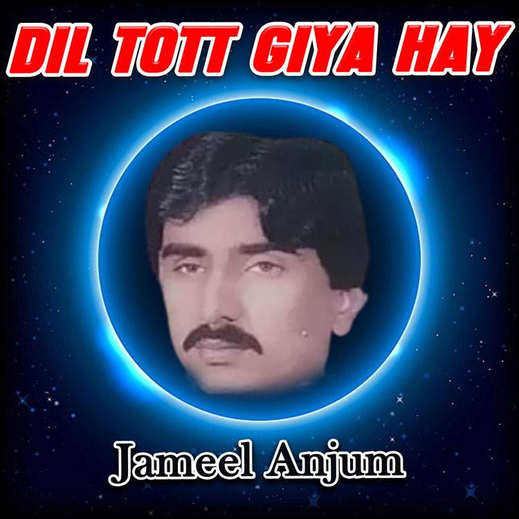 Jameel Anjum's avatar image