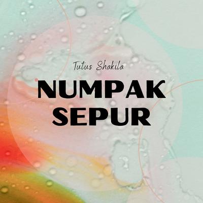 Numpak Sepur's cover