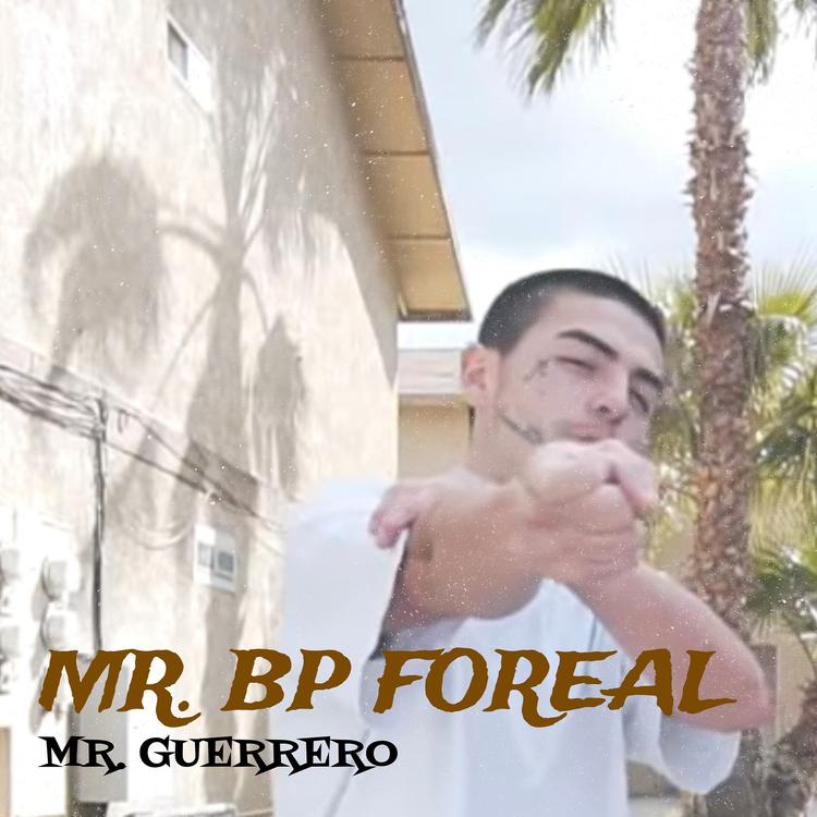 Mr Guerrero's avatar image