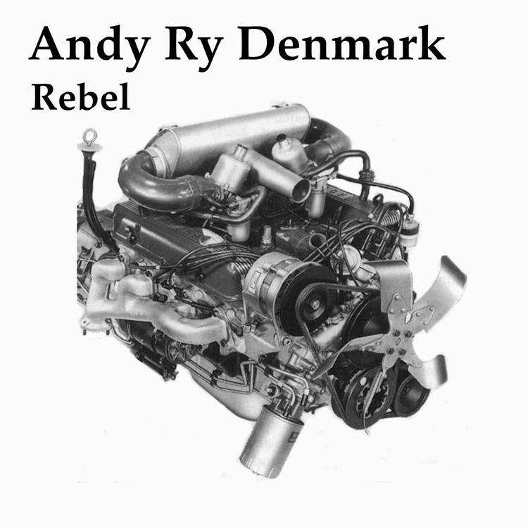 Andy Ry Denmark's avatar image