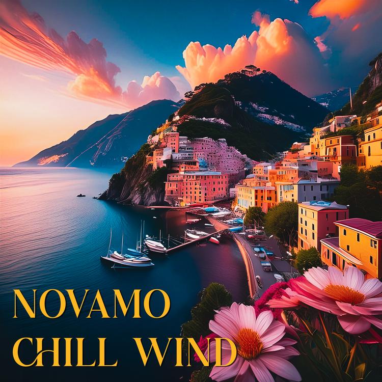 Novamo's avatar image