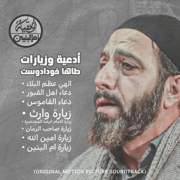 طاها خودادوست's avatar image