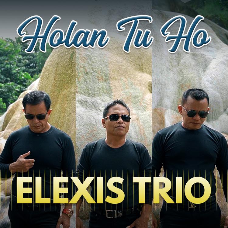 Elexis Trio's avatar image