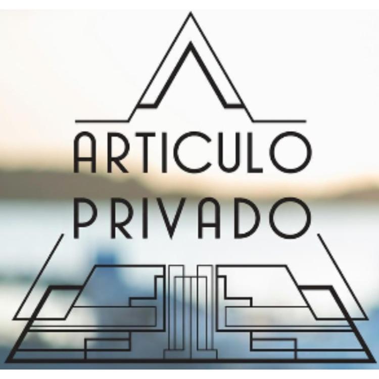 Articulo Privado's avatar image