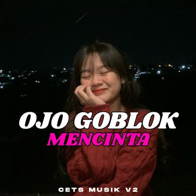 Ojo Goblok Mencinta (Remix)'s cover