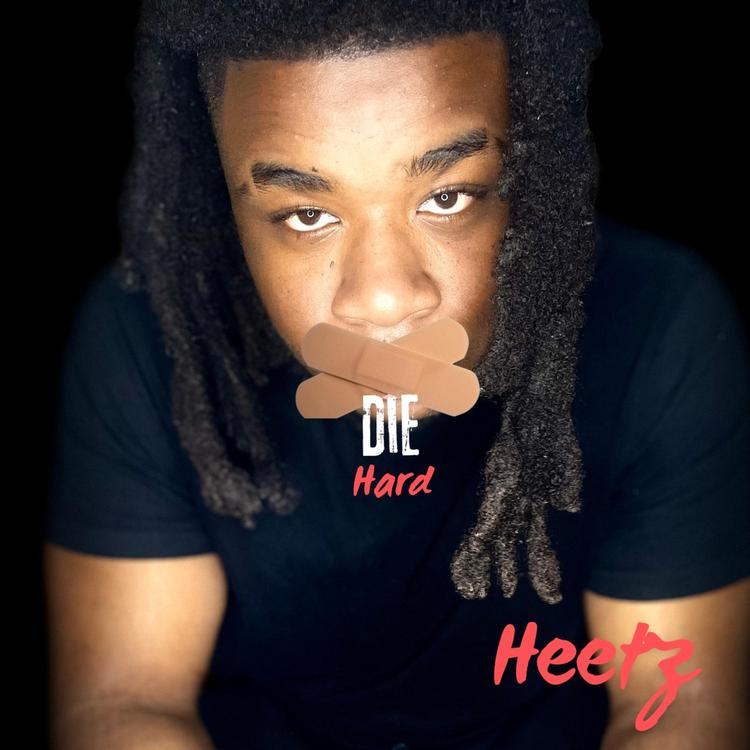HEETZ's avatar image