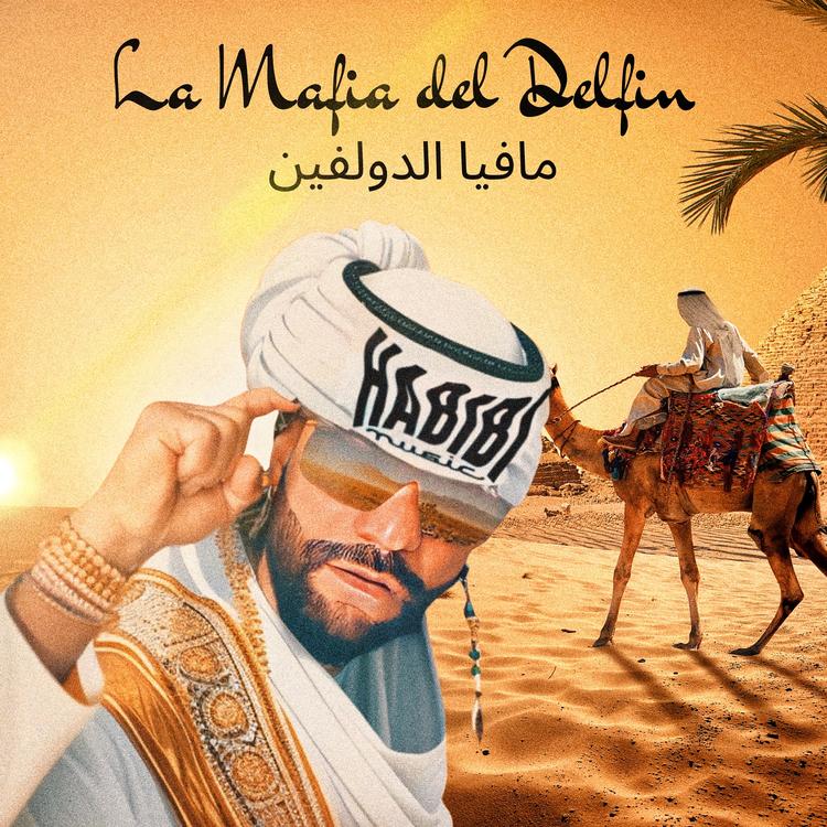 HABIBI Music's avatar image