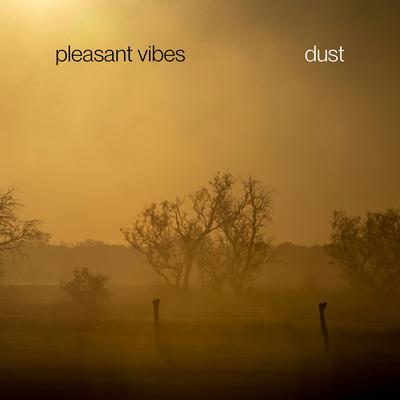 Pleasant Vibes's cover
