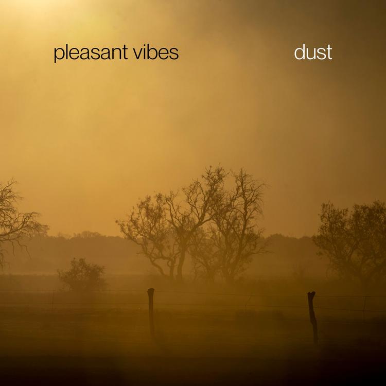 Pleasant Vibes's avatar image