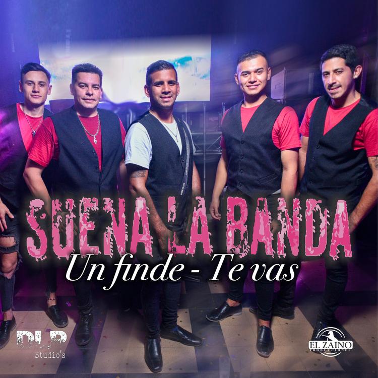 Suena La Banda's avatar image