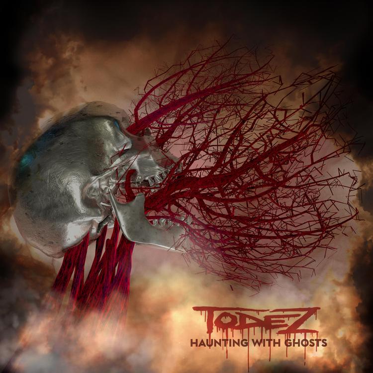 Todez's avatar image