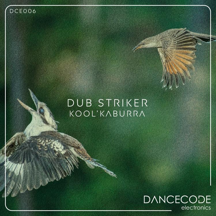 Dub Striker's avatar image