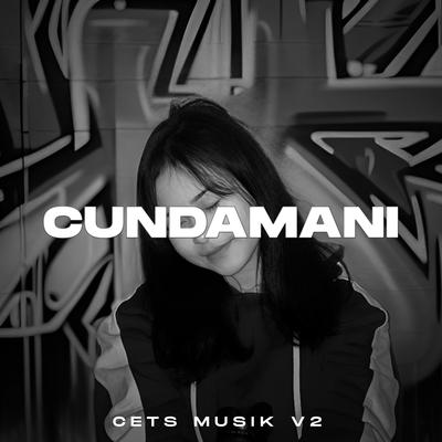 Cets Musik V2's cover