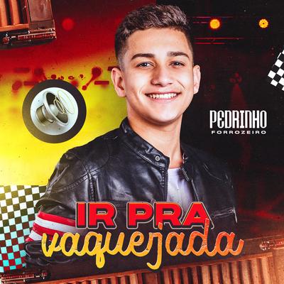 Pedrinho Forrozeiro's cover