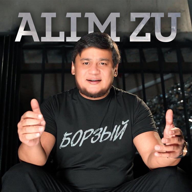 Alim Zu's avatar image