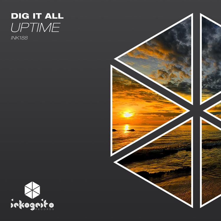 Dig It All's avatar image