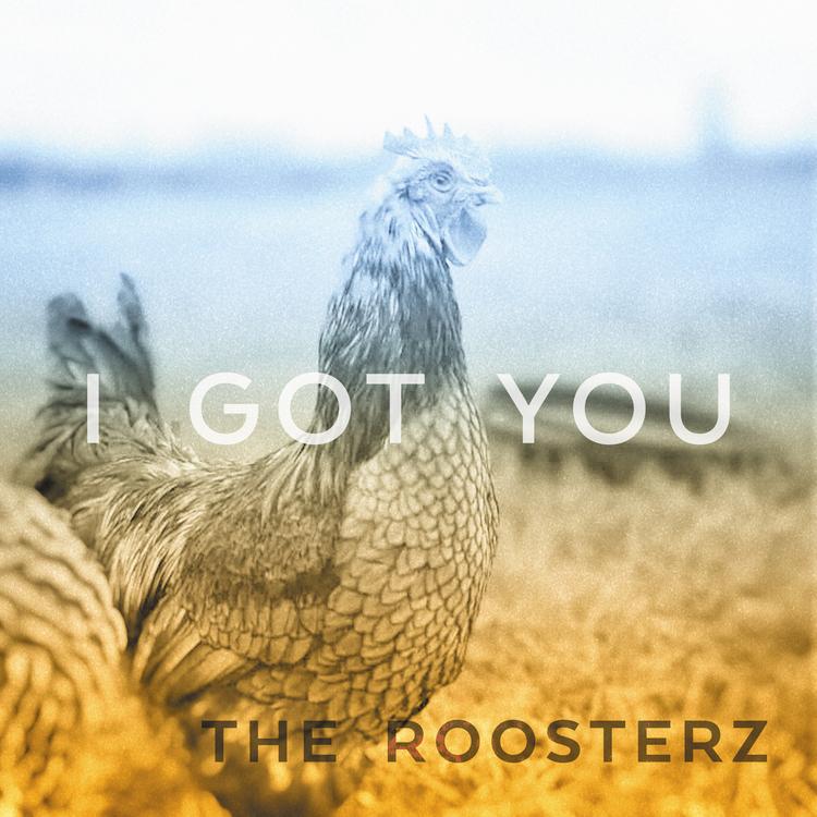 The Roosterz's avatar image