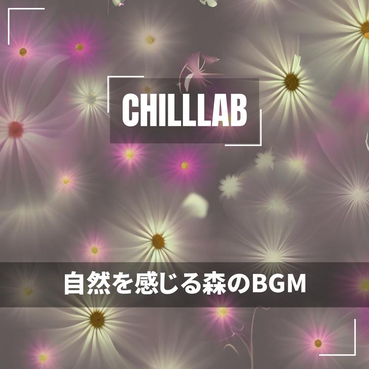 Chilllab's avatar image