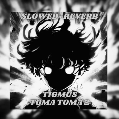 Toma Toma 2 (Brazilian Phonk) [Slowed + Reverb] By Tigmus's cover