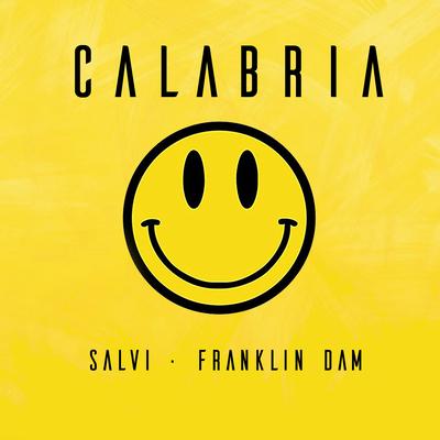 Calabria By Salvi, Franklin Dam's cover
