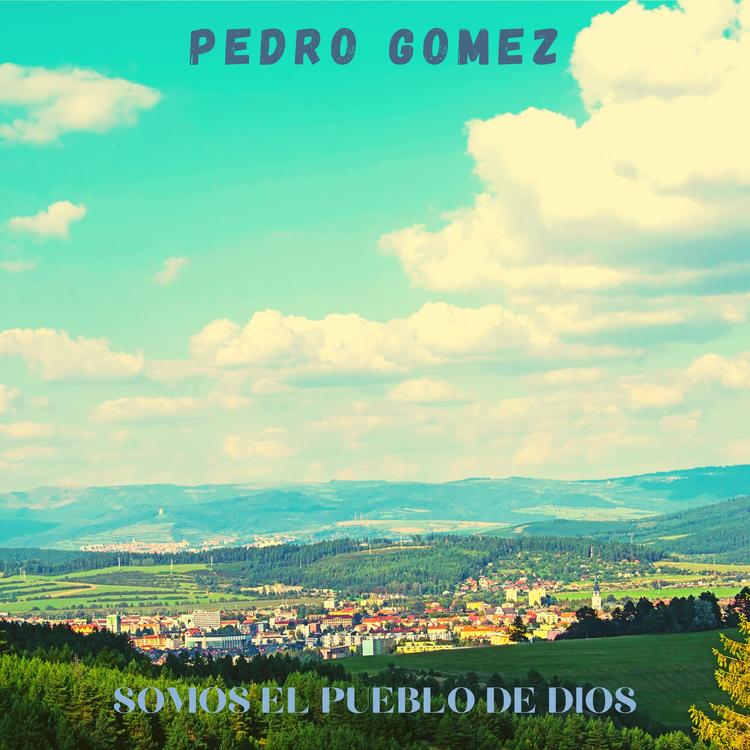 Pedro Gómez's avatar image