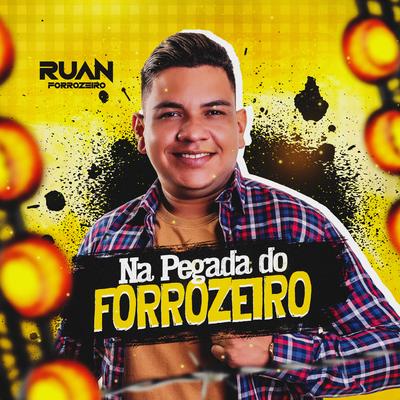 Na Pegada do Forrozeiro's cover