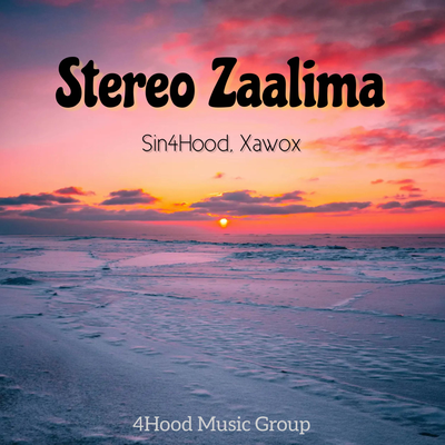 Stereo Zaalima's cover