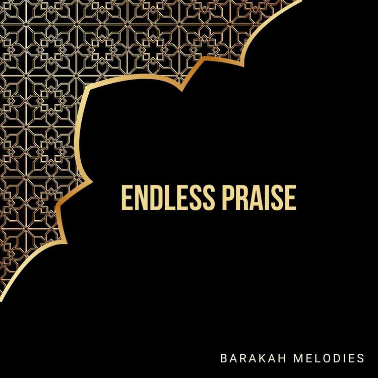 Barakah Melodies's avatar image