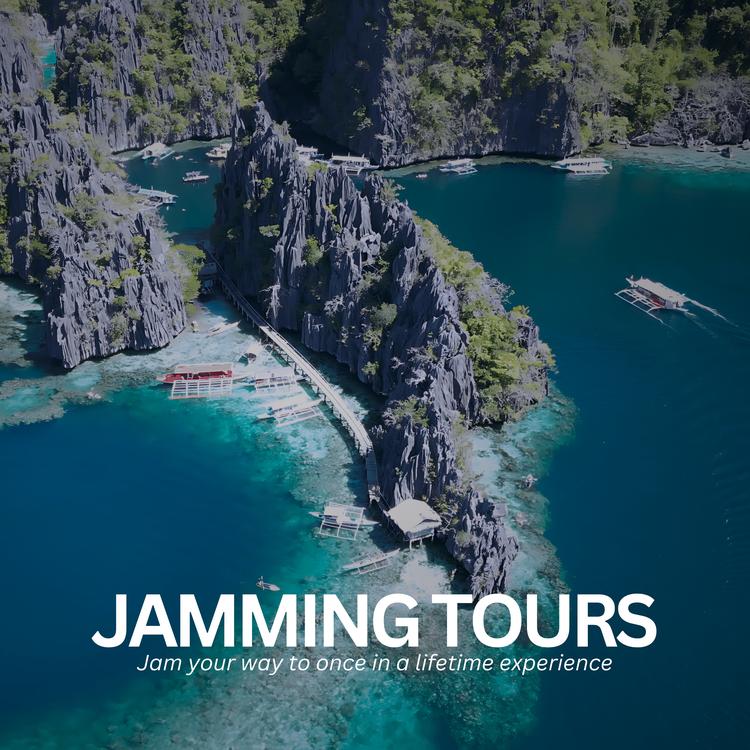 Jamming Tours's avatar image