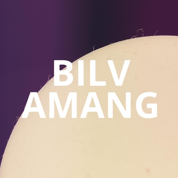 BILV's avatar image