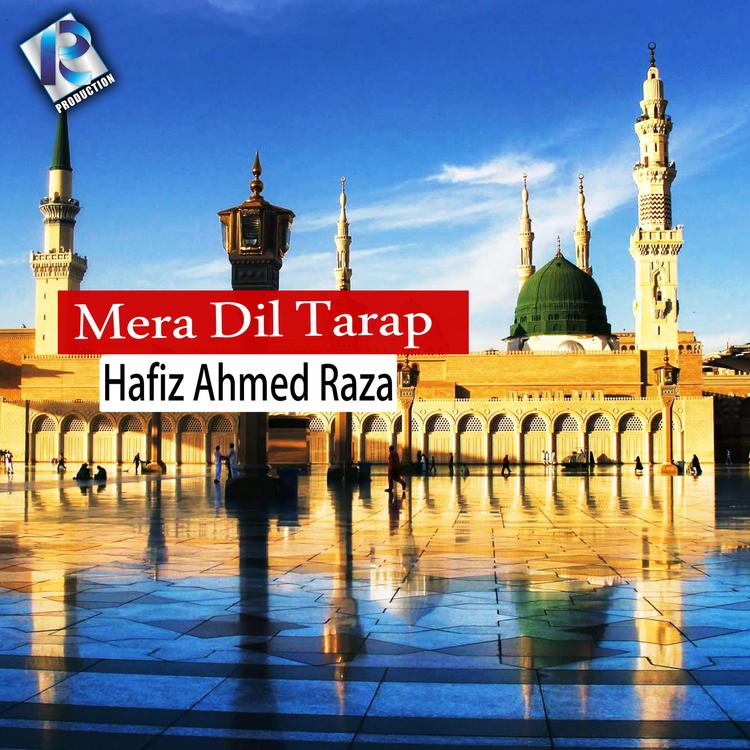 Hafiz Ahmad Raza's avatar image