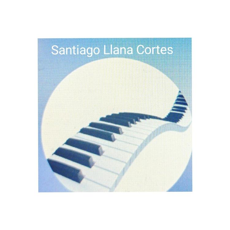 SANTIAGO LLANA CORTES's avatar image