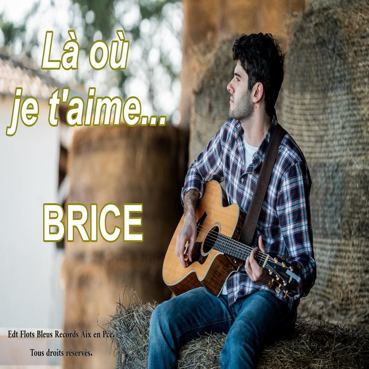 Brice's avatar image