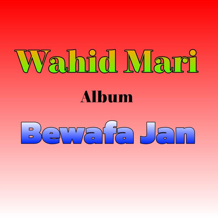 Wahid Mari's avatar image