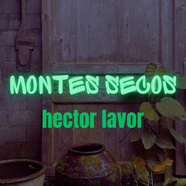 Hector Lavor's avatar image