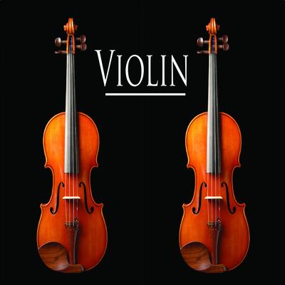 Beethoven's Ode to Joy By Violin's cover