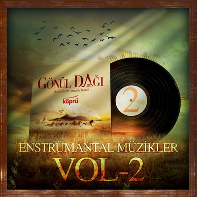 Gönül Dağı Enstrümantal Müzikler Vol 2's cover