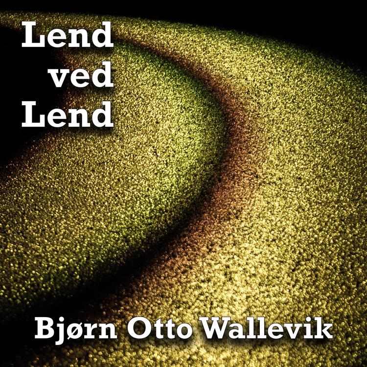 Bjørn Otto Wallevik's avatar image