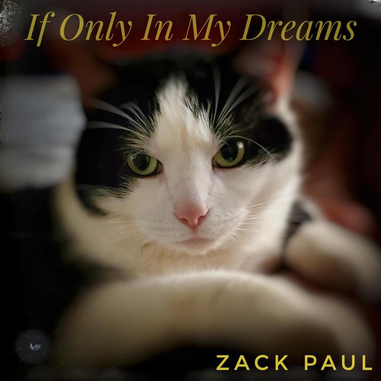 Zack Paul's avatar image