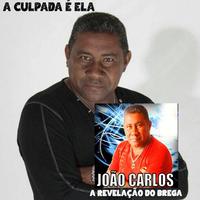 João Carlos A Revelação Do Brega's avatar cover